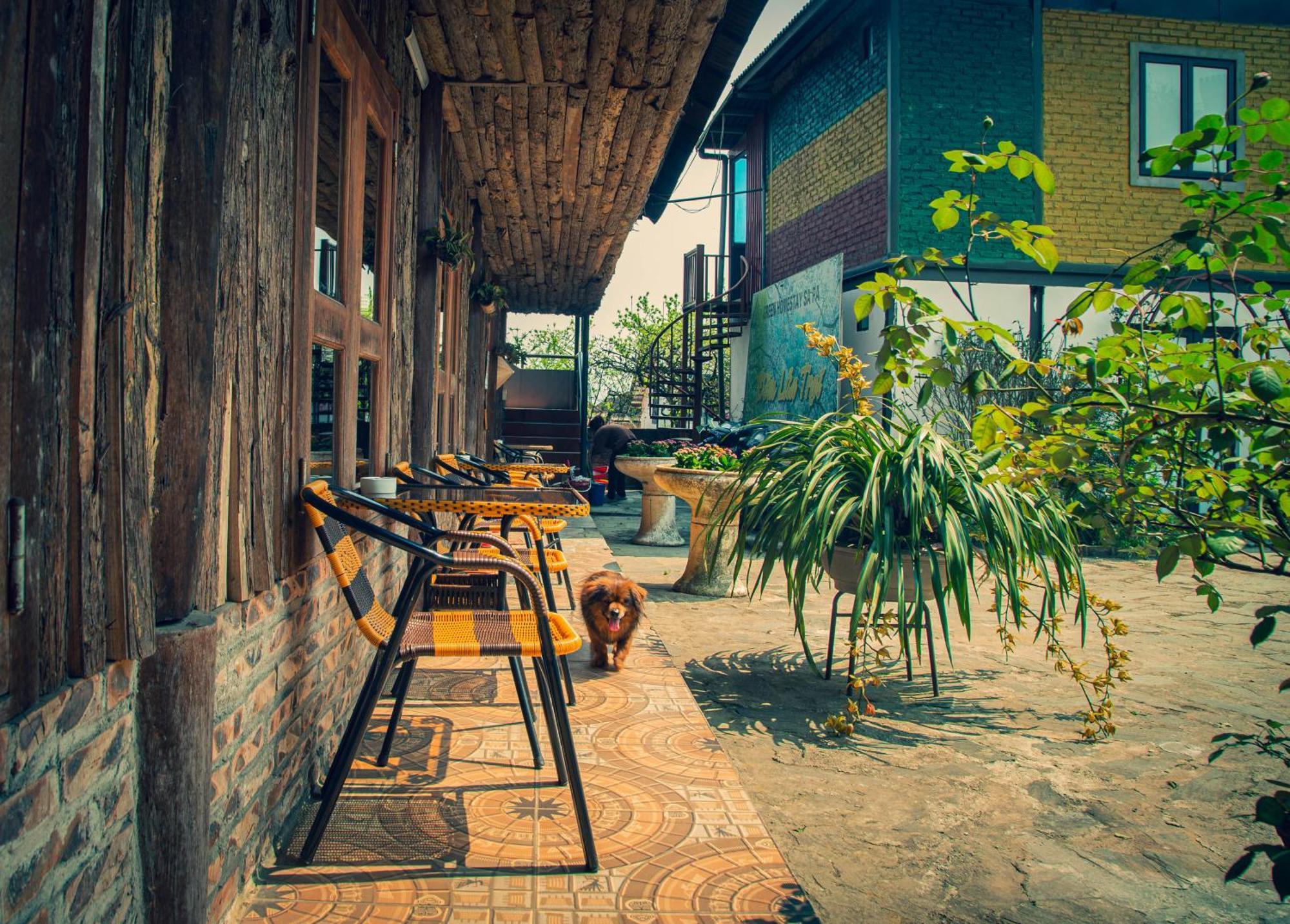 Green Sapa Homestay Екстериор снимка